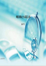 畅销小说16