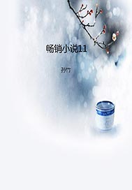 畅销小说11