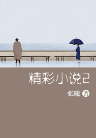 精彩小说2