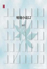 畅销小说12