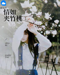 白安韩子宸