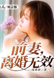 前妻，离婚无效