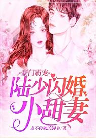 豪门霸宠：陆少闪婚小甜妻