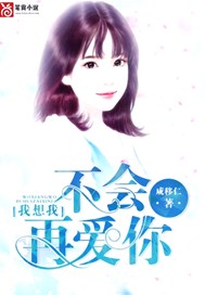 我想我不会再爱你