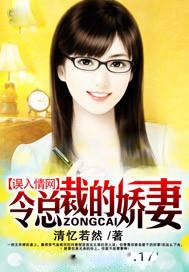 误入情网：冷总裁的娇妻