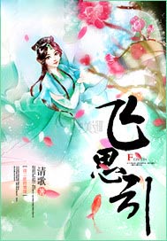 飞思引