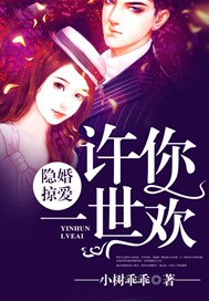 隐婚掠爱，许你一世欢