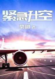 紧急升空