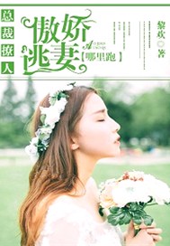 总裁撩人，傲娇逃妻哪里跑