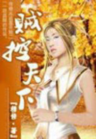 贼控天下