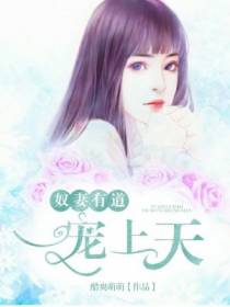 驭妻有道：一宠上天