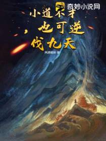 小道不才,也可逆伐九天