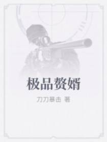 极品赘婿