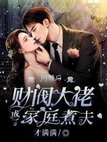 闪婚后,财阀大佬成了家庭煮夫