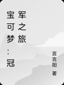 宝可梦：冠军之旅