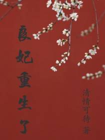 良妃重生了