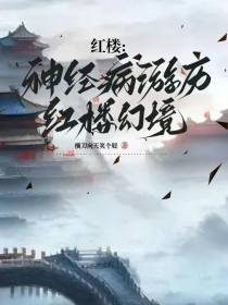 红楼：神经病游历红楼幻境