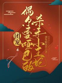 团宠【偶尔变哑巴的杀手小王妃】