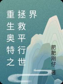重生奥特之拯救平行世界