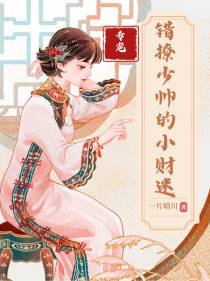 专宠！错撩少帅的小财迷