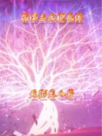 崩坏三之舰长传