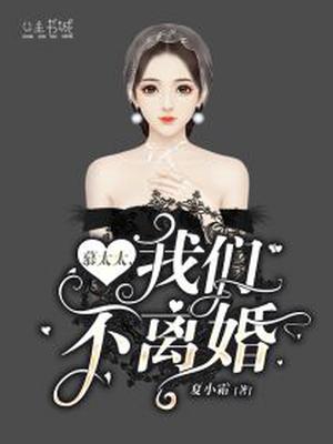 慕太太,我们不离婚.