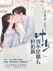 叶少,我不是那么好追的