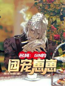 名柯：GIN的团宠崽崽