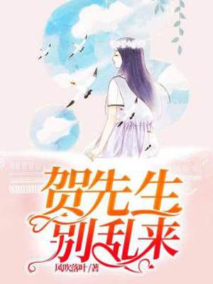 贺先生,别乱来