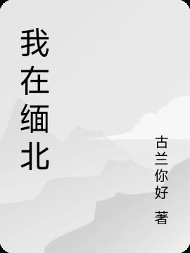 我在缅北