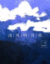 清风明月我