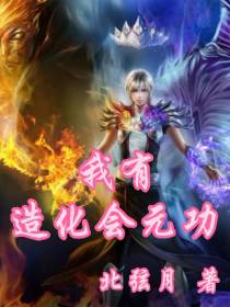我有造化会元功