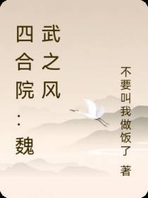 四合院：魏武之风