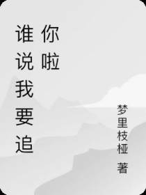 谁说我要追你啦