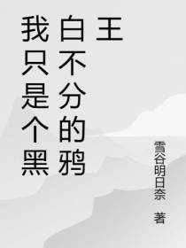 我只是个黑白不分的鸦王