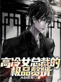 高冷女总裁的极品赘婿