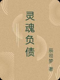 灵魂负债
