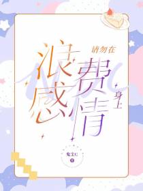 请勿在NPC身上浪费感情