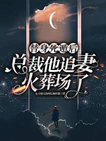 替身死遁后,总裁他追妻火葬场了