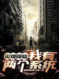 灾难降临,我有两个系统