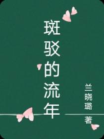 斑驳的流年