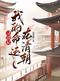 寻清记,我的命运在清朝