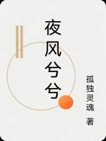 夜风兮兮