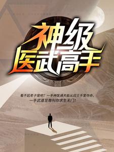 神级医武高手
