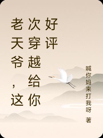 老天爷,这次穿越给你好评