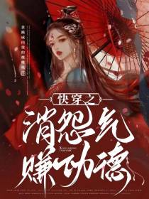 快穿之消怨气赚功德