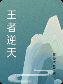 王者逆天