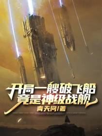 开局一艘破飞船,竟是神级战舰
