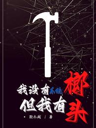我没有系统，但我有榔头我