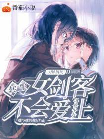 刀剑神域：剑客与剑心